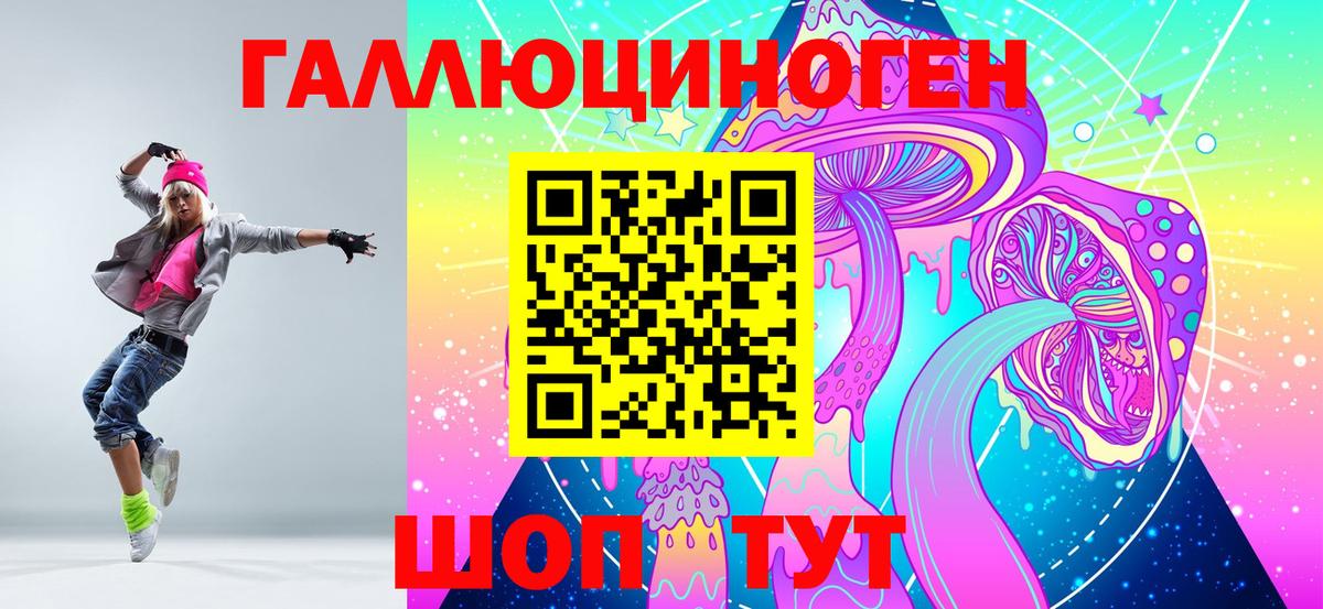 Галлюциногенные грибы Psilocybe  Псилоцибиновые грибы MAGIC MUSHROOMS  Нарткала  Вход с VPN 